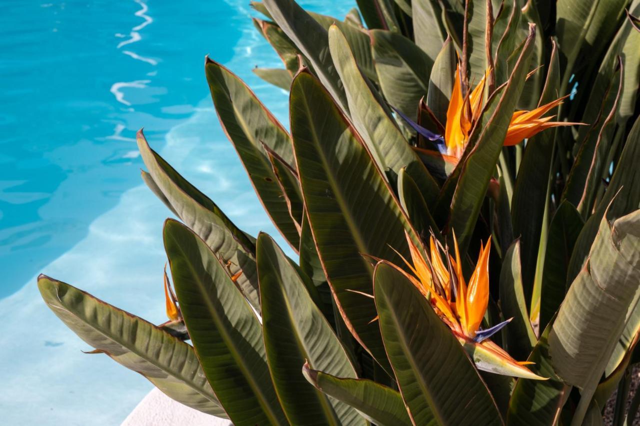 Nazaret Mansion Otel Costa Teguise Dış mekan fotoğraf